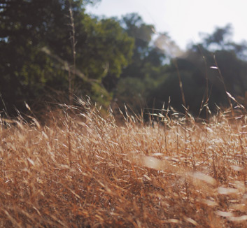 江苏苏宁中场球员现伤愈归队，球队备战