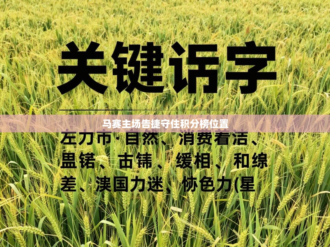马赛主场告捷守住积分榜位置  第1张